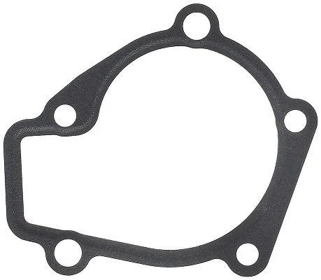 Gasket, water pump  453.030