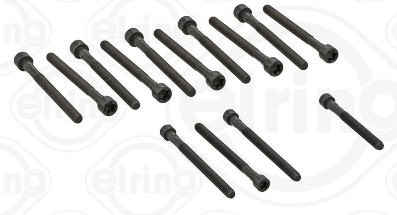 Conjunto de parafusos da cabeça do cilindro ELRING 270.190