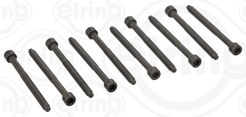 Conjunto de parafusos da cabeça do cilindro ELRING 290.440