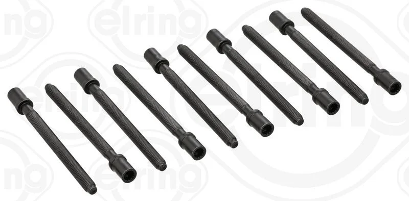 Conjunto de parafusos da cabeça do cilindro ELRING 305.430