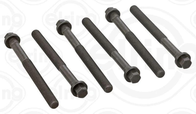 Conjunto de parafusos da cabeça do cilindro ELRING 308.560
