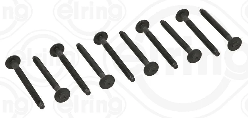 Conjunto de parafusos da cabeça do cilindro ELRING 481.900