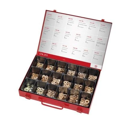 Kit de Segmentos ELRING 576.251