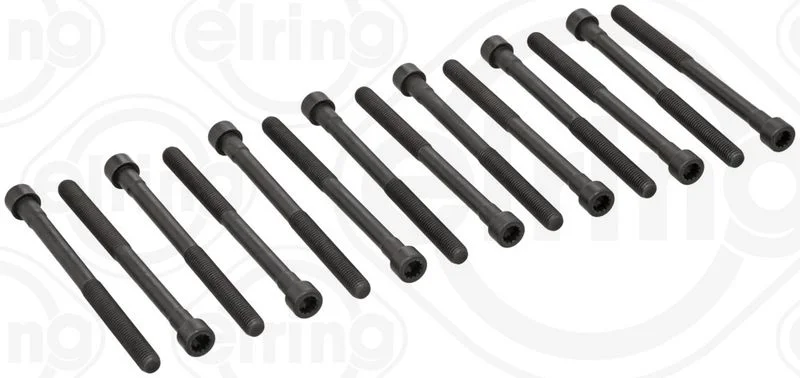 Conjunto de parafusos da cabeça do cilindro ELRING 759.640