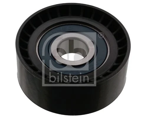 Polia de Desvio/Guia, correia do alternador FEBI BILSTEIN 100172