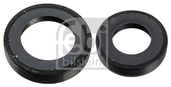Conjunto de Vedação do Eixo, diferencial FEBI BILSTEIN 173279