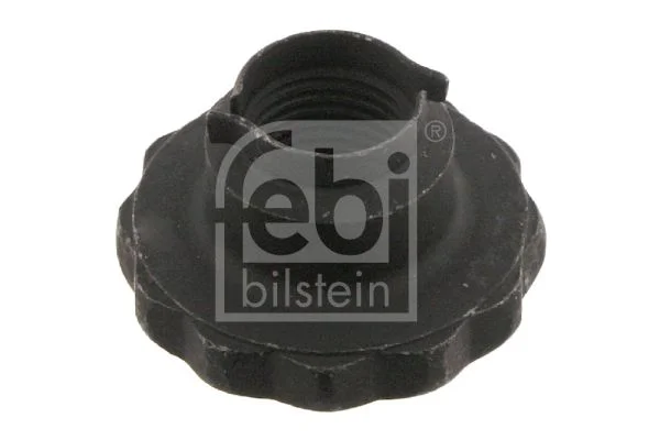 Porca, pino-mestre FEBI BILSTEIN 46689