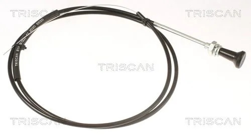 Choke Shaft, carburettor TRISCAN 8140 91002