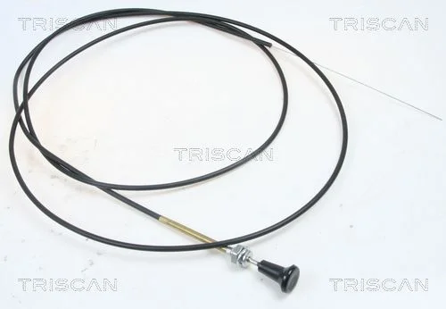 Choke Shaft, carburettor TRISCAN 8140 91004