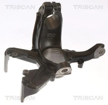 Pivô de Direção, suspensão da roda TRISCAN 8500 29702