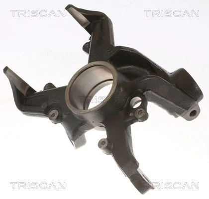 Pivô de Direção, suspensão da roda TRISCAN 8500 29703
