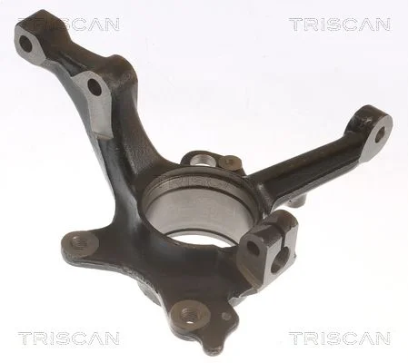 Pivô de Direção, suspensão da roda TRISCAN 8500 29718