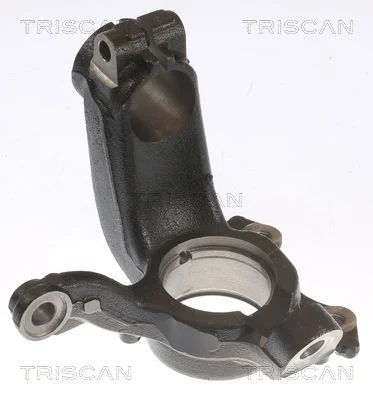 Pivô de Direção, suspensão da roda TRISCAN 8500 29721