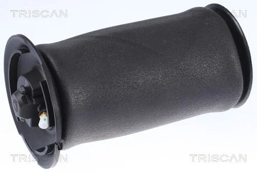 Air Spring, suspension TRISCAN 8720 11202