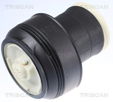 Mola de Suspensão a Ar TRISCAN 8720 11203