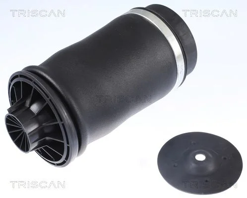 Mola de Suspensão a Ar TRISCAN 8720 23204