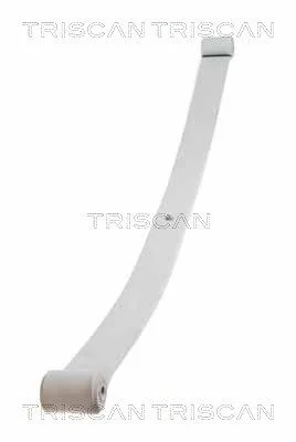 Spring Pack TRISCAN 8765 10004