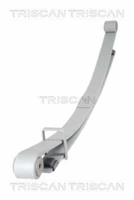 Spring Pack TRISCAN 8765 10011