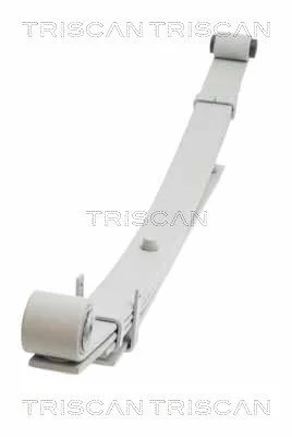 Spring Pack TRISCAN 8765 43004