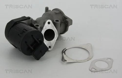 Válvula EGR TRISCAN 8813 10001