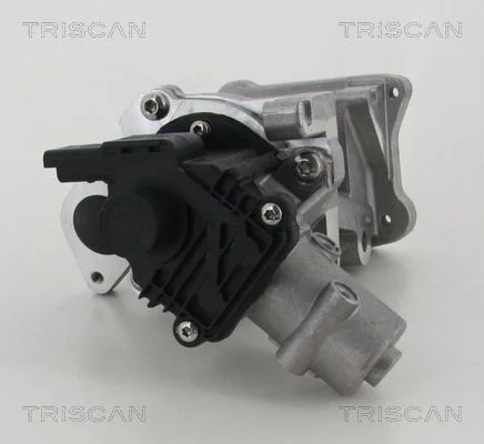 Válvula EGR TRISCAN 8813 10007