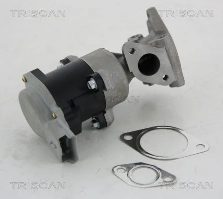 Válvula EGR TRISCAN 8813 10008