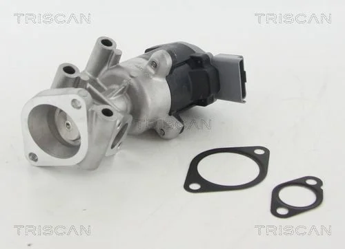Válvula EGR TRISCAN 8813 10009