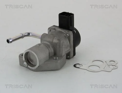 Válvula EGR TRISCAN 8813 10014