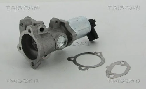 Válvula EGR TRISCAN 8813 15052