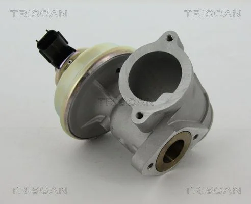 EGR Valve TRISCAN 8813 16102
