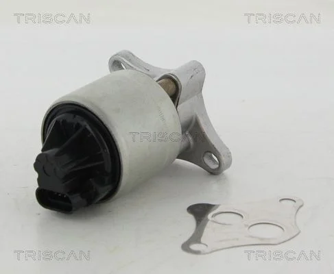 EGR Valve TRISCAN 8813 24004