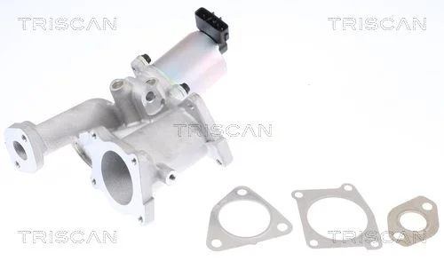 EGR Valve TRISCAN 8813 24101