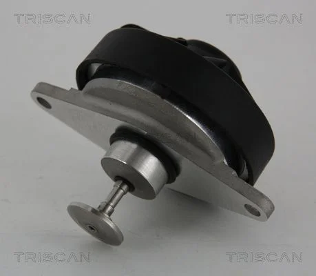 EGR Valve TRISCAN 8813 24202