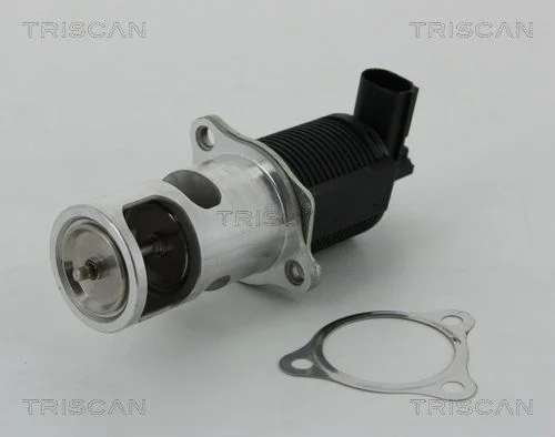 Válvula EGR TRISCAN 8813 25038