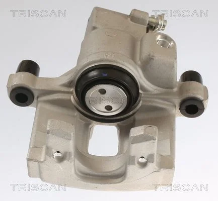 EGR Valve TRISCAN 8813 25201