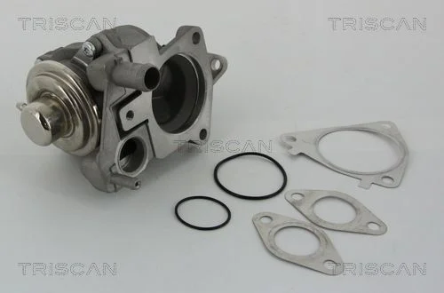 EGR Valve TRISCAN 8813 28019