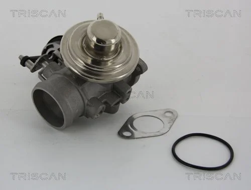 Válvula EGR TRISCAN 8813 29001