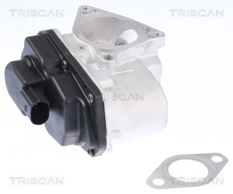 Válvula EGR TRISCAN 8813 29003