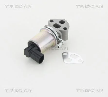 EGR Valve TRISCAN 8813 29007