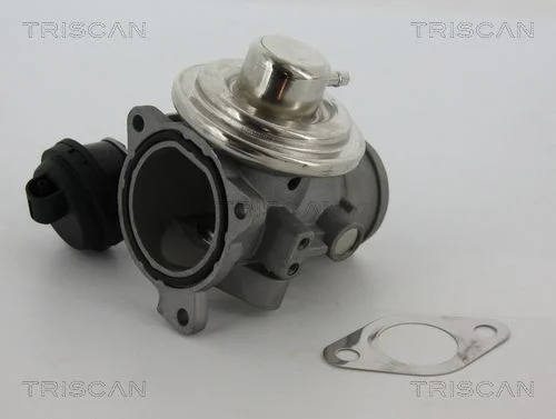 Válvula EGR TRISCAN 8813 29057