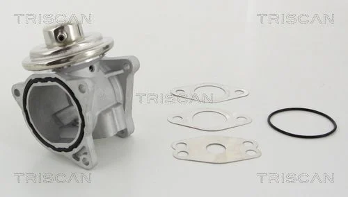 Válvula EGR TRISCAN 8813 29111