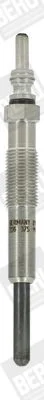 Vela de Incandescência BorgWarner (BERU) GN019