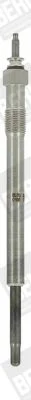 Glow Plug BorgWarner (BERU) GN939