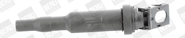 689 BorgWarner (BERU) ZS324