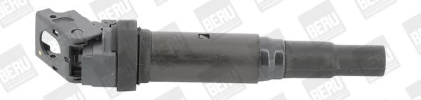 689 BorgWarner (BERU) ZSE143
