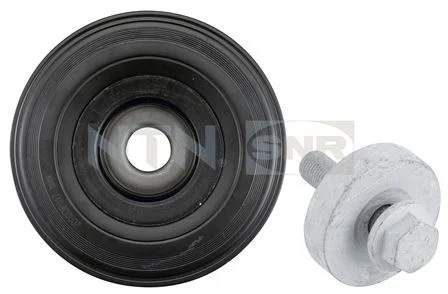 Polia da correia, virabrequim SNR DPF355.08K1