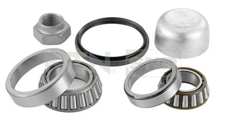 Kit de rolamentos de roda SNR R140.25