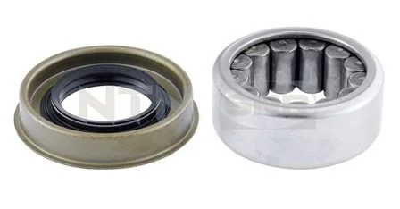 Kit de rolamentos de roda SNR R141.34