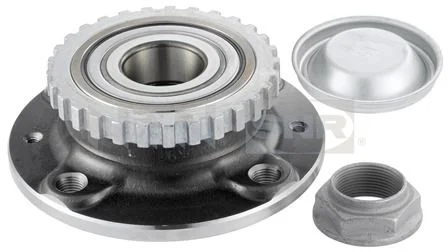 Kit de rolamentos de roda SNR R166.29