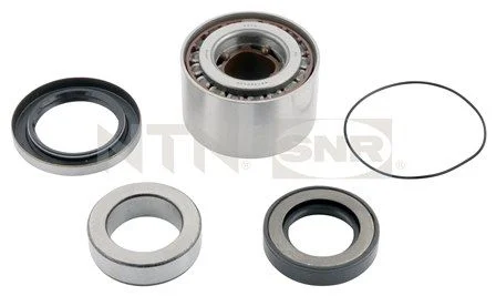 Kit de rolamentos de roda SNR R173.19